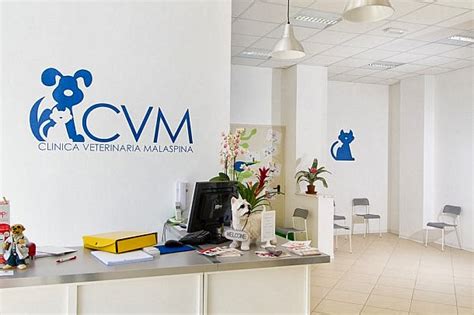 Recensioni di Centro Veterinario Castelverde, Via Massa di San .